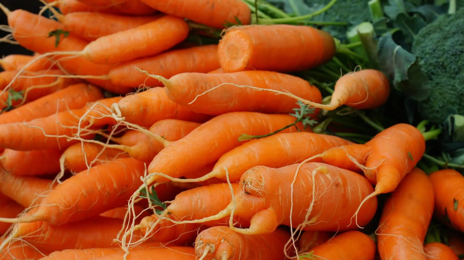 Carrots at Ljubljana Central Market (carrot)