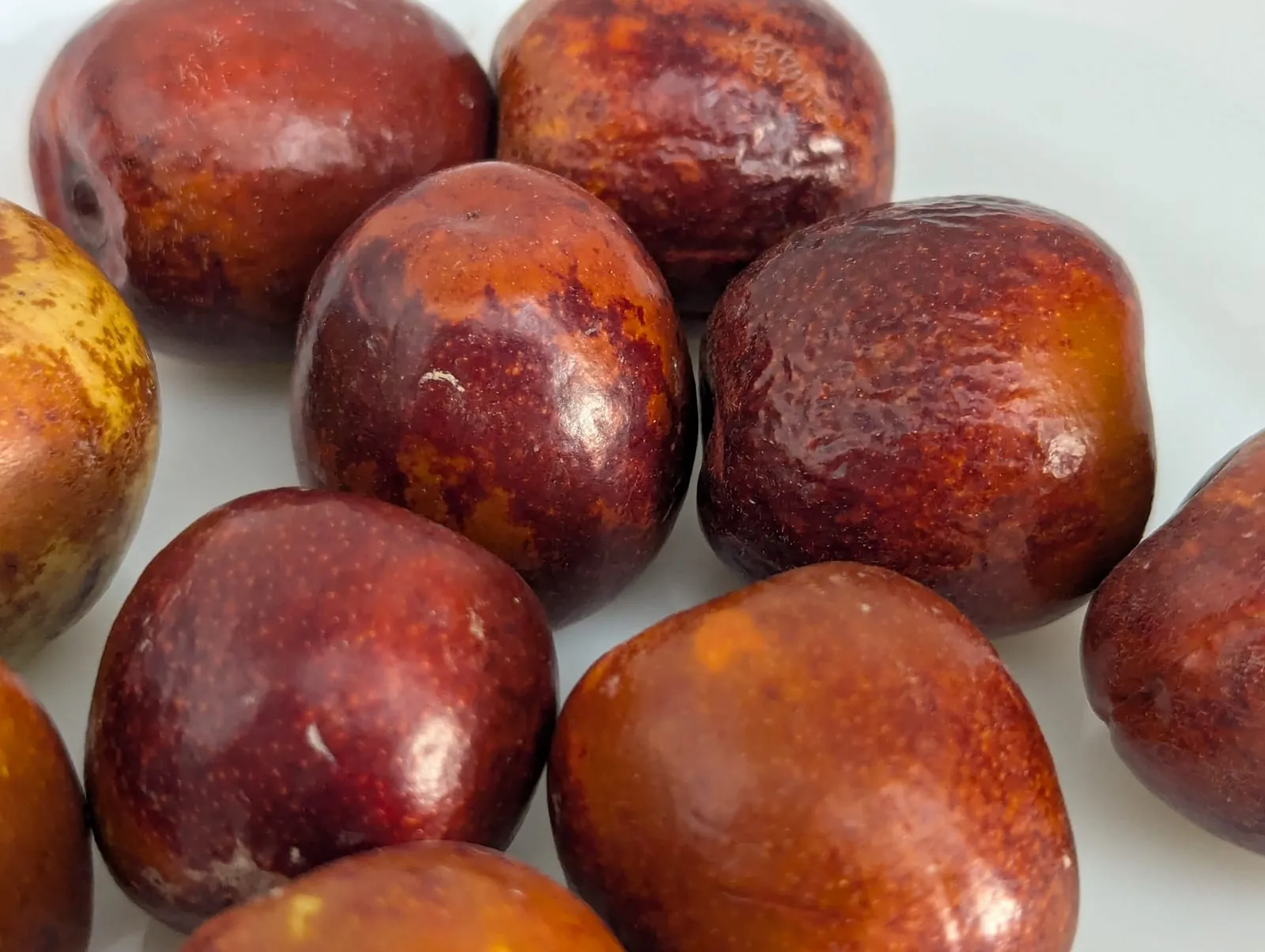 Ziziphus jujuba (fruit) (jujube)