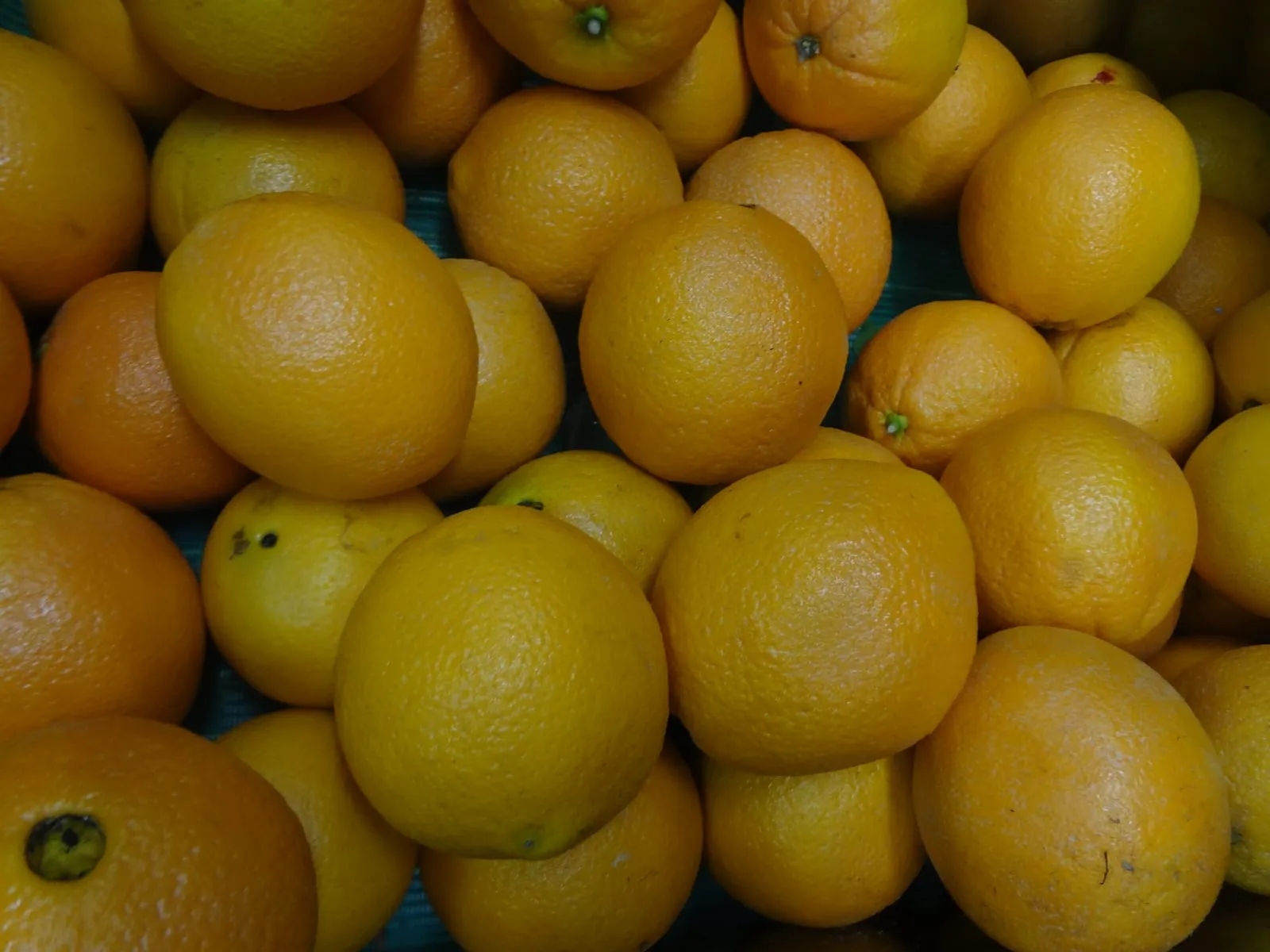 The orange (specifically, the sweet orange) is the fruit of the citrus species Citrus × sinensis in the family Rutaceae (orange)
