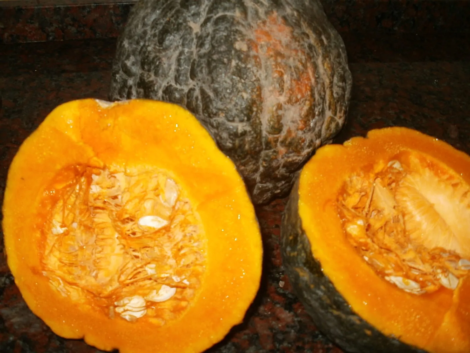 Cucurbita maxima x C. moschata (zapallo kabutia o japonés o grupo Tetsukabuto) (winter-squash)